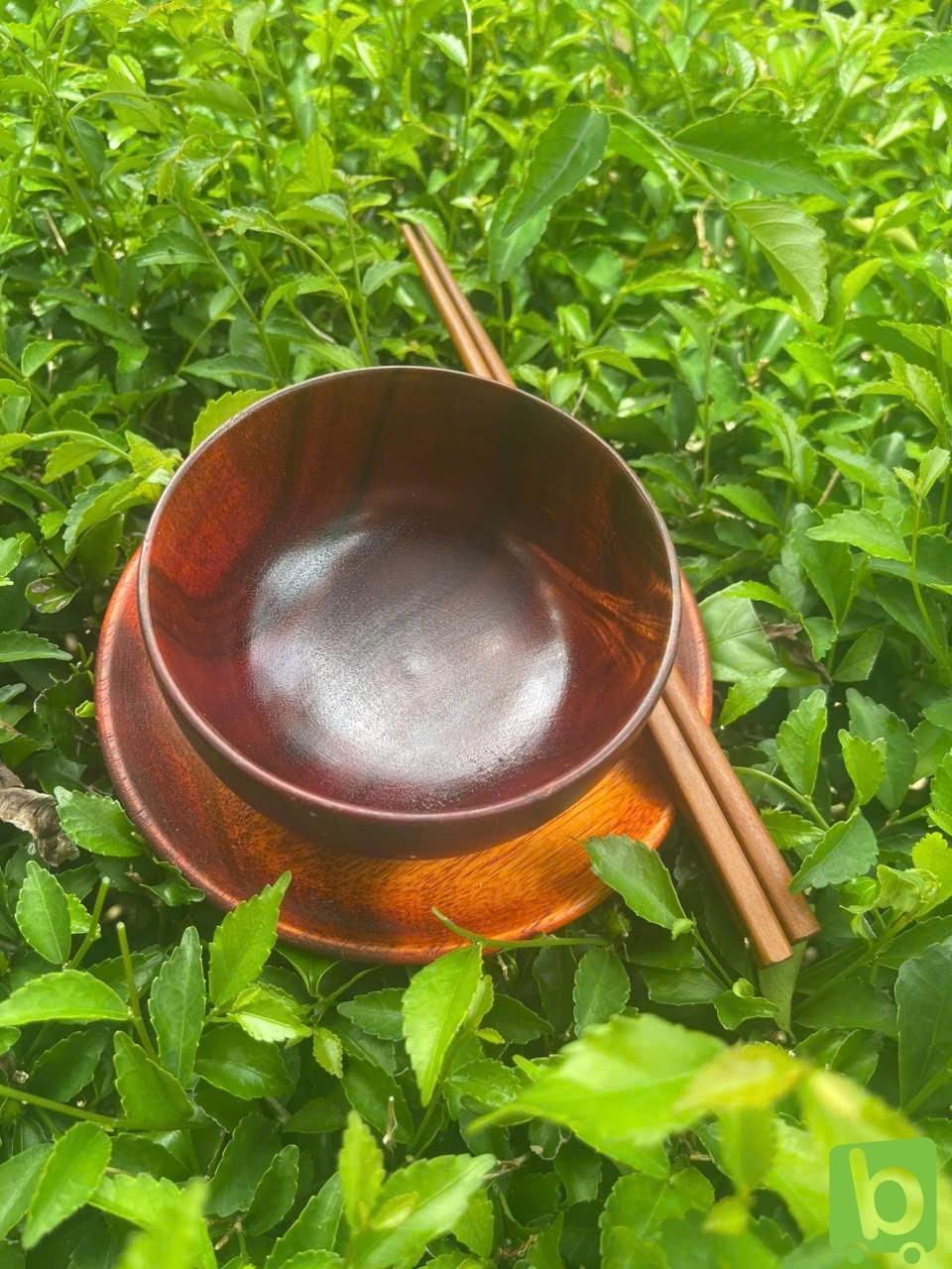 Sản phẩm